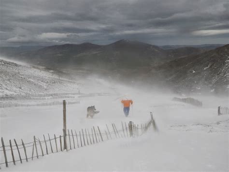 SAIS Northern Cairngorms: Gale force winds