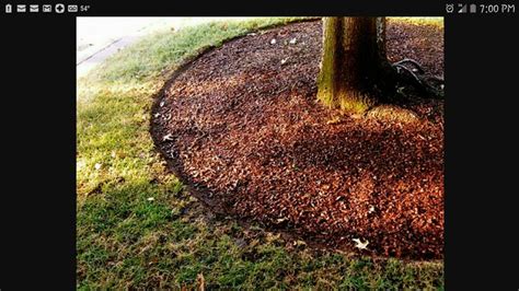 Installing metal garden edging around trees. Garden and tree edging | Metal garden edging ...