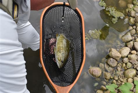 DIY: laminated wooden fishing net - Ontario OUT of DOORS