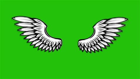 Animation Of Flying Wings On Green Background. Angel Wings Animation. Stock Footage Video ...