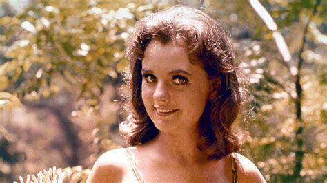 Hollywood Pays Tribute to Beloved 'Gilligan's Island' Actress Dawn Wells