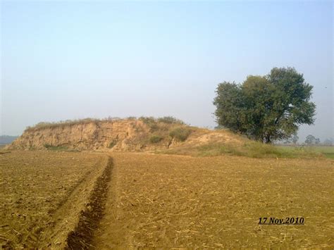 Eh Mera Punjab : There was time when Punjab landscape was dotted...