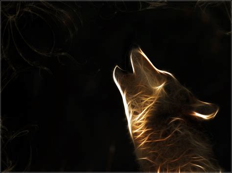 ~♥ Wolves ♥ ~ - Wolves Wallpaper (10308970) - Fanpop