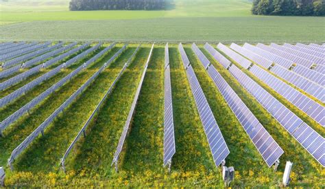 Dual-use solar farms welcome nature back to the land - Trellis | Solar ...