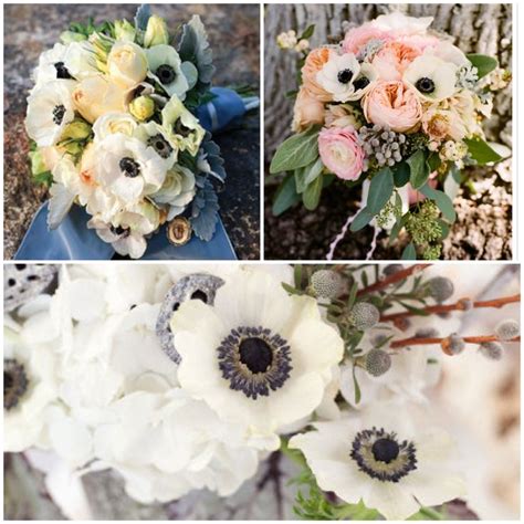 white poppy wedding bouquet - Google Search | Tahoe wedding, Wedding flower inspiration, Lake ...