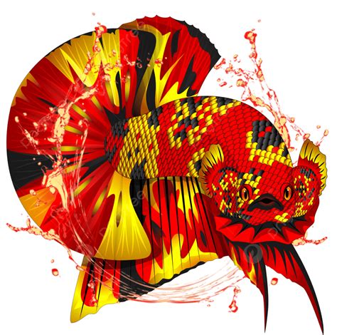 Betta Red Koi Cooper, Betta, Cupang, Logo PNG Transparent Image and Clipart for Free Download