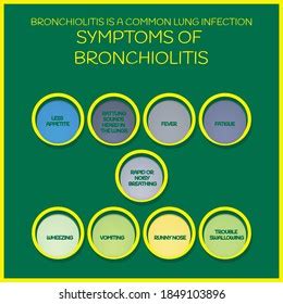 Symptoms Bronchiolitis Vector Illustration Medical Journal Stock Vector ...