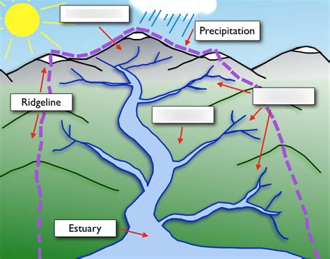 anatomy of a river stream Diagram | Quizlet