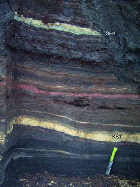 Tephra sequence deposited between 1.3 and 2.0 14 C ka BP, 14 km NNE of ...