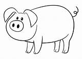Coloring Pig Template Pages Drawing Outline Templates Animal Farm Kids  sketch template