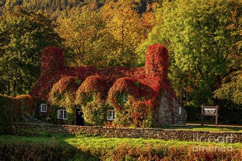 Llanrwst Tea Room Autumn Photograph by Adrian Evans