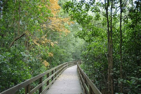 Pasir Ris Park: Quaint Coastal Park With Mangrove Boardwalk, Playground & Horse Stable