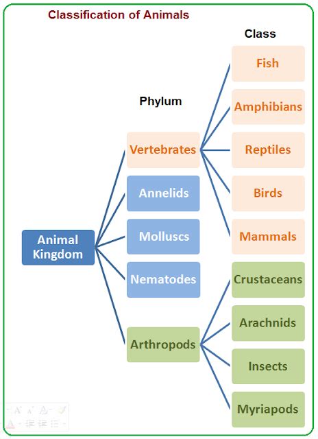 # 4: Animal Kingdom - Classification | Biology Notes for IGCSE 2014 | Kemi, Skola, Kunskap