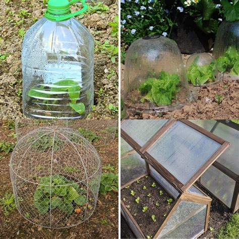 20 Garden Cloche Ideas to Protect Your Plants (Many Upcycled Ideas)