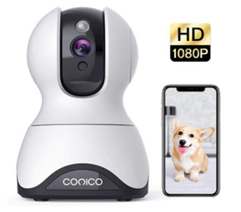 Top 5 Best Pet Cameras 2021 - Top Selection & Reviews