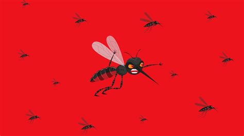 Dengue Prevention Animation on Behance