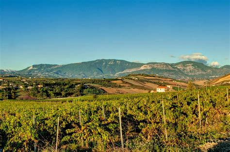 Abruzzo Wine Region - Decanter