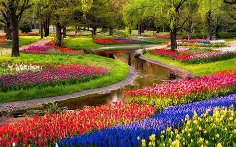 HD wallpaper: ROMANIAN PARK, pond, bucharest, landscape, trees ...