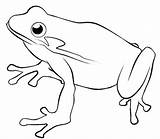 frog coloring pages For Kids  BestAppsForKidscom sketch template
