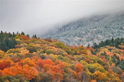 Upstate NY fall foliage map: Get out there leaf peepers, peak colors are everywhere ...