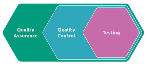 Understanding the Vital Relationship Between Software Testing and Quality Assurance | by Mustafa ...