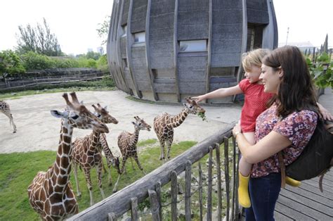 Rotterdam Zoo - Living + Nomads – Travel tips, Guides, News & Information!