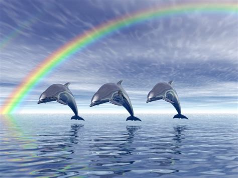 HD wallpapers: Beautiful Dolphins HD Wallpapers 1600x1200