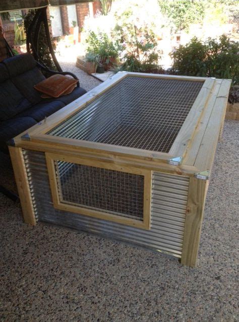 20 Outdoor Reptile Enclosure Ideas | reptile enclosure, tortoise care ...