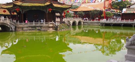 5 Cultural Experiences To Have In Kunming, Yunnan Province, China | Trip101