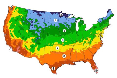 Farmers Almanac Planting Guide Zone 5 – Yoiki Guide