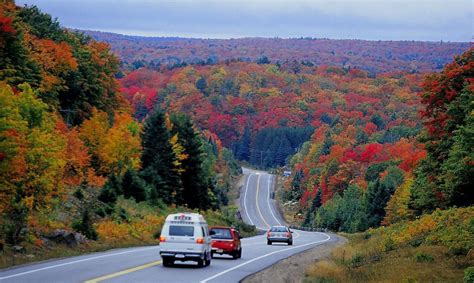 One Tank Trips: Track the fall colours in 49 Ontario Parks