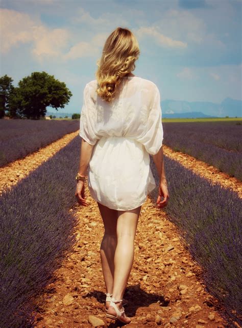 LAVENDER FIELDS FOREVER - Arctic Vanilla