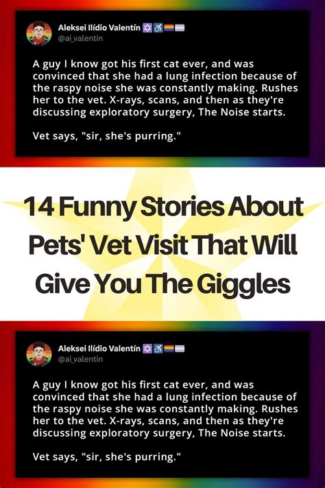 14 funny stories about pets vet visit that will give you the giggles ...