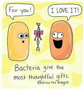 Bacteria gifts | Fun science, Biology humor, Microbiology humor