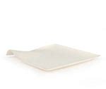 WASARA Kaku Large Square Plate Bulk / 50 Pack – Joanne Hudson Basics