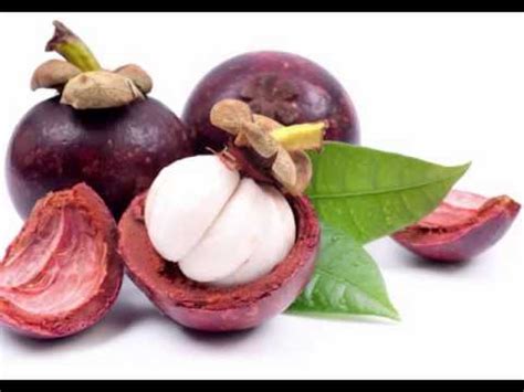 Purple Mangosteen Fruit Health Benefits - YouTube