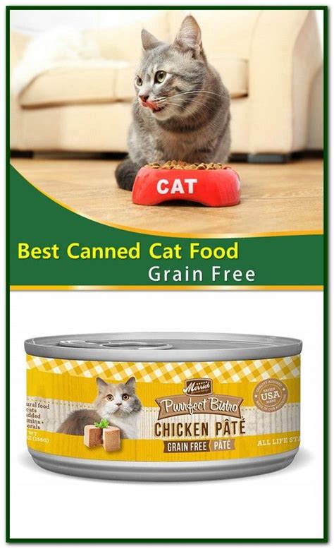 Best Wet Cat Food Brands - Cat Mania