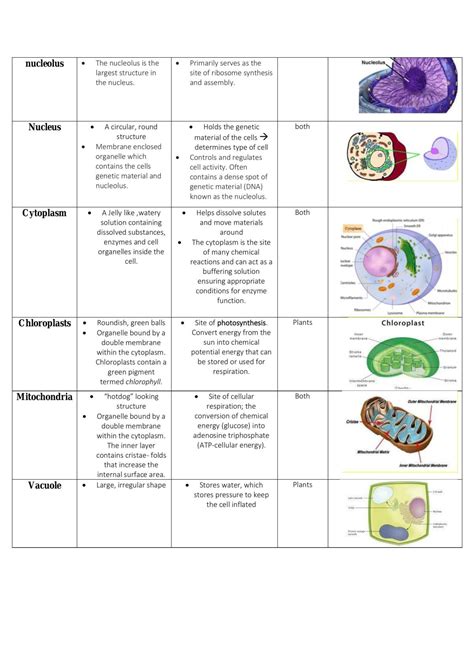 Ncea Level 2 Biology Full Study Notes | Biology - Level 2 NCEA | Thinkswap