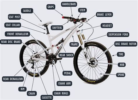 Mountain Bikes: Frame, Parts, History | Online Homework Help ...