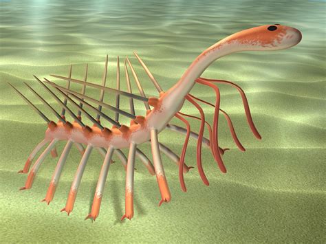 3d model hallucigenia cambrian fossils