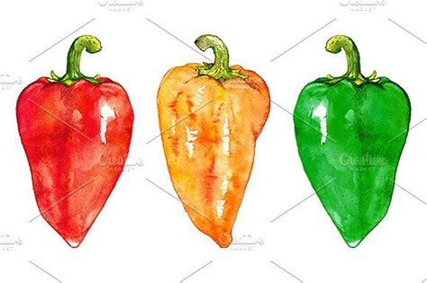 Watercolor sweet bell pepper art in 2023 | Stuffed peppers, Watercolor, Sweet bell peppers