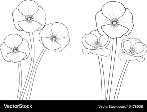 Poppy Flower Outline Drawing | Best Flower Site