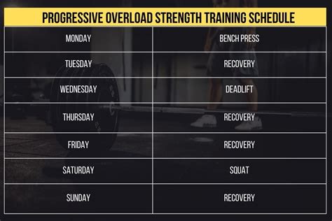 12 Week Progressive Overload Strength Training Program (W/PDF)