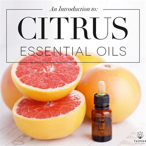 An Introduction to Citrus Essential Oils – Tazeka Aromatherapy