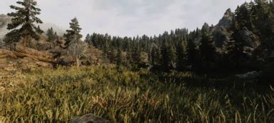 Forest 4 at Skyrim Special Edition Nexus - Mods and Community