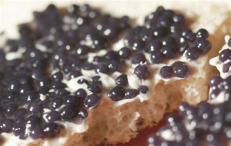 American Paddlefish Caviar – Caviar Express, Inc.