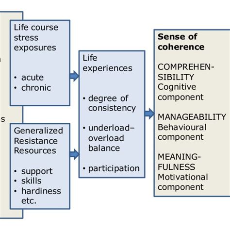 (PDF) Culture in salutogenesis: The scholarship of Aaron Antonovsky