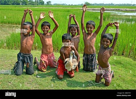 The rural children are playing in the green paddy field at the remote village of India Stock ...