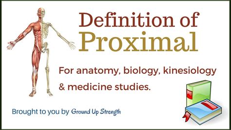 Proximal Vs Distal Parenting