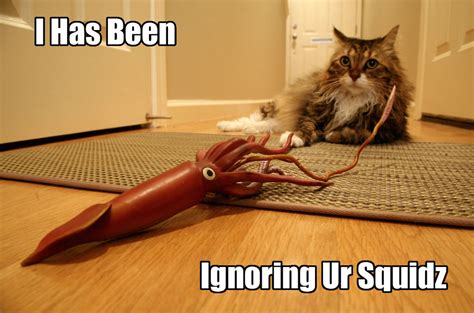 Lolcats, A Bad Grammar Cat Macro Meme Explosion